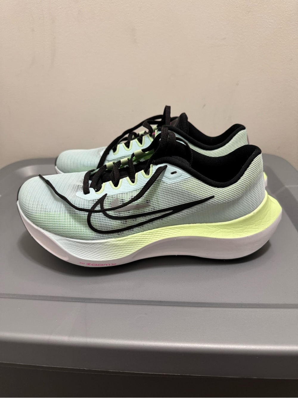 Nike Women's Mint Green and Black Running Shoes